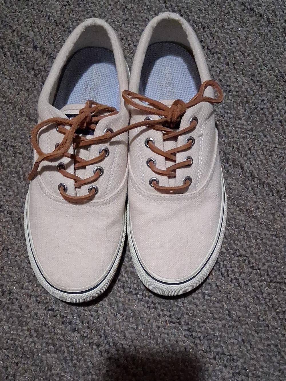 Sperry Casual Canvas Men's Sneakers in Light Cream with Brown Laces